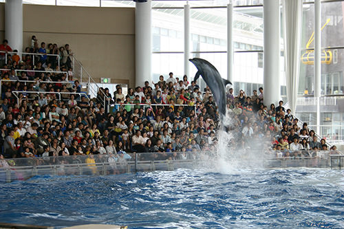 アクアワールド茨城県大洗水族館