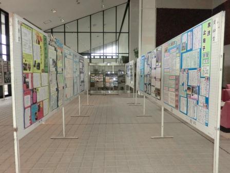 展示の様子